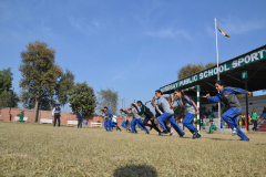 sports-ground-2