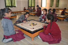 carrom-2